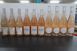 10 fl. Rosé bl.a. CÔTES DE GASCOGNE Décoré 2022