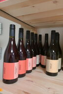 10 fl. Hvidvin/rødvin Alkoholfri