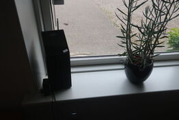Radio og plante