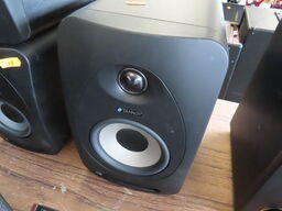 Monitorhøjtaler - TANNOY REVEAL 502