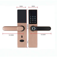 Smart Lock Entrivo HR05 Rosegold