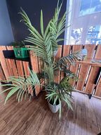 Alle kunstige planter i butikken