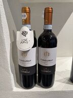 2 fl. Castelbuono Ziggurat Montefalco Rosso Lunelli 2010