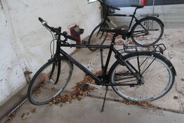 Herrecykel RALEIGH