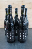 5 fl. Rødvin MINIMALIST WINES Syrah Cinsaut 2021, 75cl.