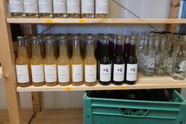 Div. Saft æble, solbær og møn vand