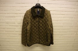 Jakke BERKELEY  STR. 2XL Oliven 