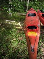 Kayak