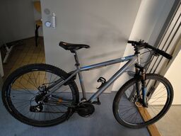 Mountainbike X-ZITE