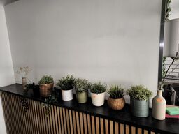 Div. Kunstige planter og nips