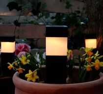 12 stk. alma solar lampe(ubrugt