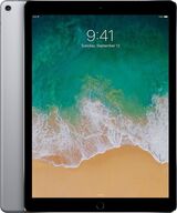Apple iPad Pro 12.9" 2. Gen Wi-Fi+Cellular 256 GB
