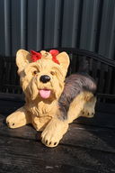 Liggende yorkshireterrier H24 cm. 