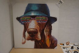 Billede DOG WITH HAT