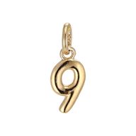 Number 9 Pendant - Str. 1