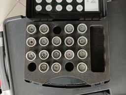 T20213