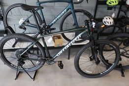 Mountainbike SPECIALIZED Rockhopper Export 29 KM