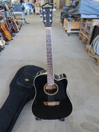 Guitar WASHBURN inkl. Stativ og taske