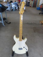 Guitar VARIAX LINE 6 inkl. Stativ