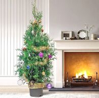 30 stk. Christmas tree conifer 1