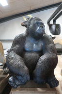 Siddende gorilla