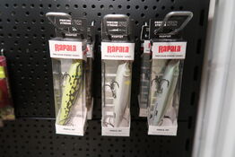 6 pk. Rapala Precision Xtreme Pensil 