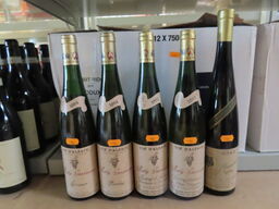 6 fl. hvidvin, ROLLY GASSMANN blandet vine, Alsace