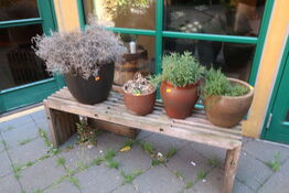 4 stk. planter