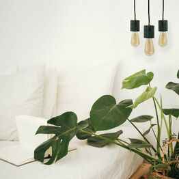 Studio 8 ApS & designlamper (Sidste auktion) - FRAGT IKKE MULIGT