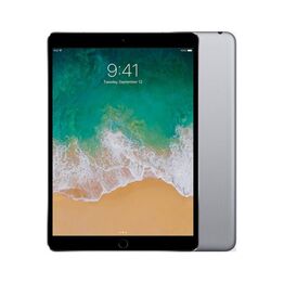 APPLE iPads