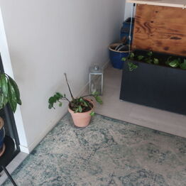 Float Studio