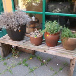 Restaurant TABU