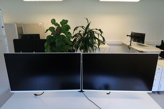 2 stk. Samsung S32AM501NU skærm - LED baglys - 32"