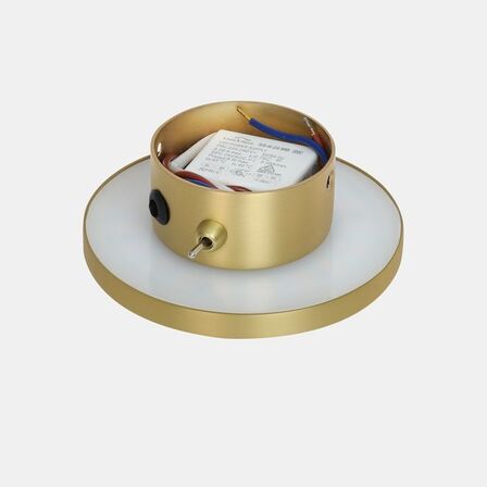 Lumega Saga - Brass - Small