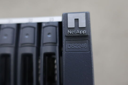 NAS server NETAPP DS2246