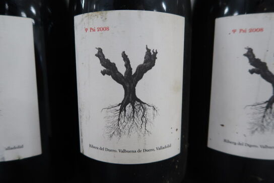 4 fl. RIBERA DEL DUERO Psi 2008 