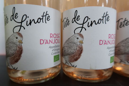 10 fl. Rosé bl.a. CÔTES DE GASCOGNE Décoré 2022