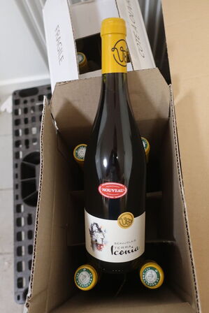 5 fl. Rødvin BEAUJOLAIS TERRA Iconia