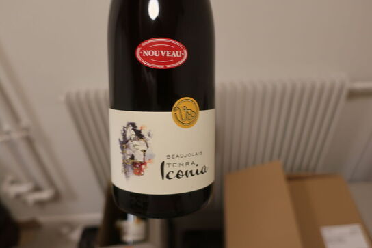 6 fl. Rødvin BEAUJOLAIS TERRA Iconia