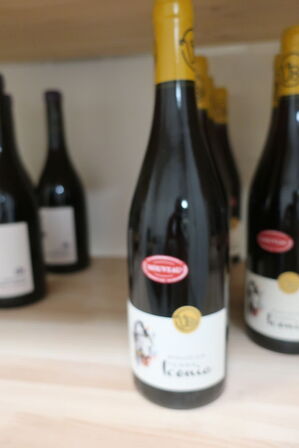 7 fl. Rødvin BEAUJOLAIS Terra Iconia