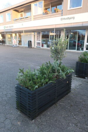 Plantekasse