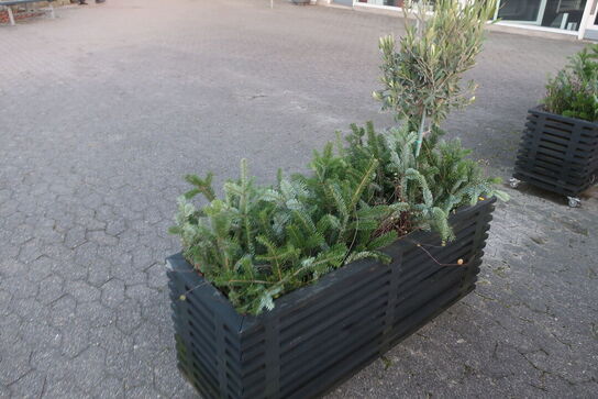 Plantekasse