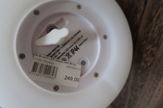 Kunstig Plante i Krukke samt LED Lampe