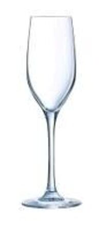 12 stk. Champagneglas 17 cl Sequence