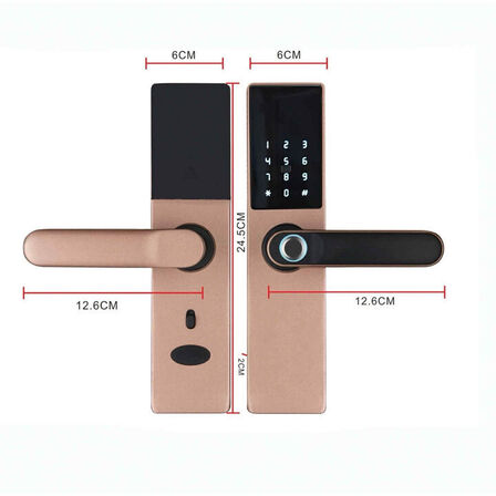 Smart Lock Entrivo HR05 Rosegold