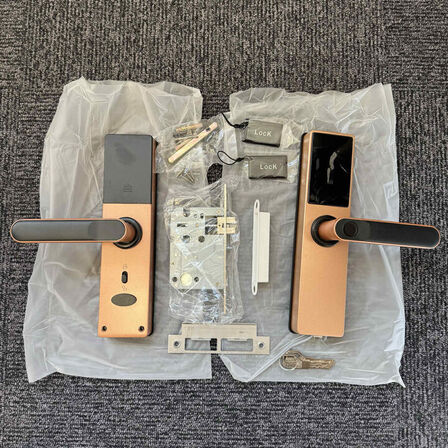 Smart Lock Entrivo HR05 Rosegold