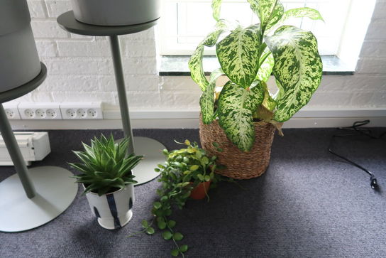 5 stk. planter med krukker & 2 opsatser