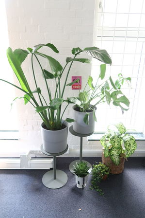 5 stk. planter med krukker & 2 opsatser