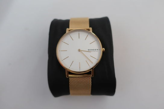 Dameur SKAGEN SKW2795