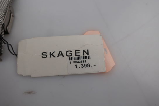 Dameur SKAGEN SKW2582